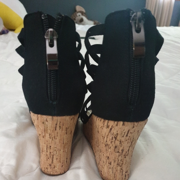 Cinderella of Boston 5W - Picture 4 of 5